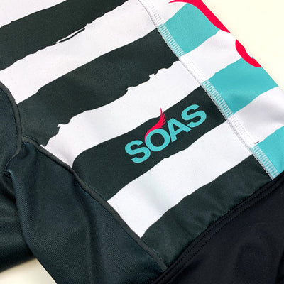 Sunburnt Zebra One Piece